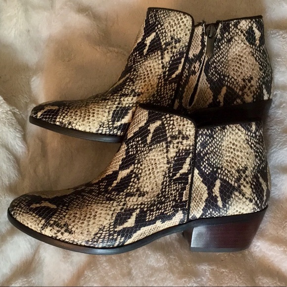 Sam Edelman Shoes - Ivory/Black Snake Sam Edelman Petty Ankle Bootie